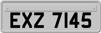 EXZ7145