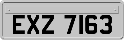 EXZ7163