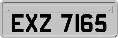 EXZ7165