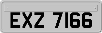 EXZ7166