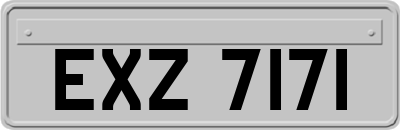 EXZ7171