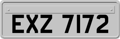 EXZ7172