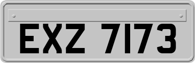 EXZ7173