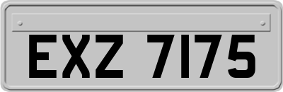 EXZ7175