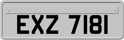 EXZ7181