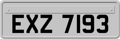 EXZ7193