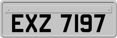 EXZ7197