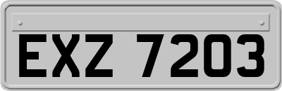 EXZ7203