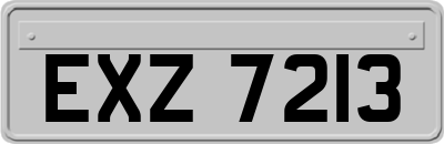 EXZ7213