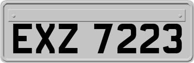 EXZ7223