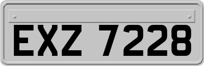 EXZ7228