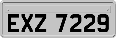 EXZ7229