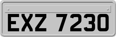 EXZ7230