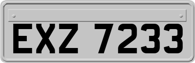 EXZ7233