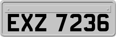 EXZ7236