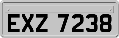 EXZ7238