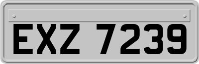 EXZ7239