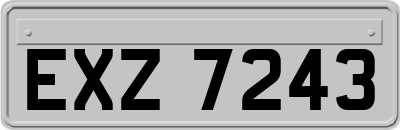 EXZ7243