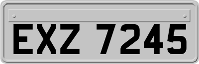 EXZ7245