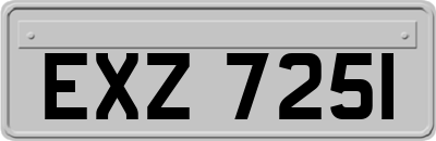 EXZ7251