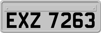 EXZ7263