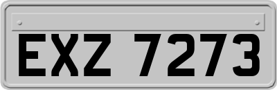 EXZ7273
