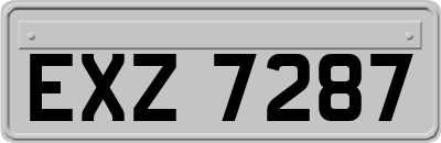 EXZ7287