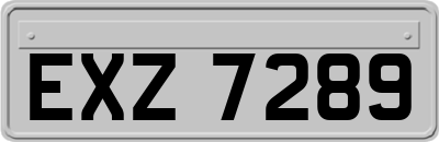 EXZ7289