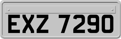 EXZ7290