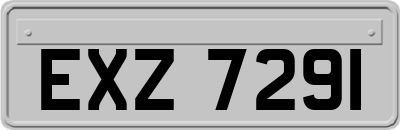 EXZ7291