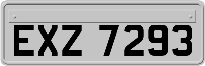 EXZ7293