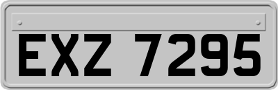 EXZ7295