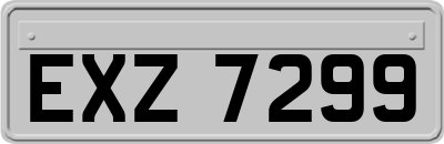 EXZ7299