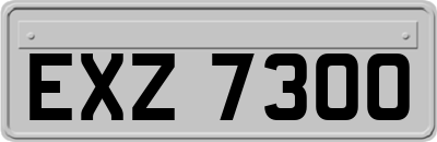 EXZ7300