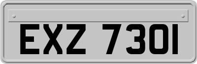 EXZ7301
