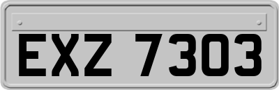 EXZ7303