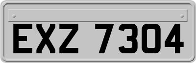 EXZ7304