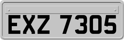 EXZ7305