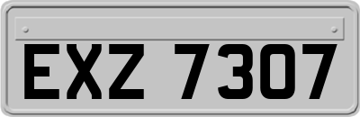 EXZ7307
