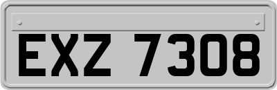 EXZ7308