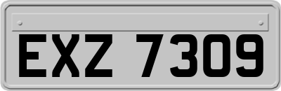 EXZ7309