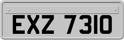 EXZ7310