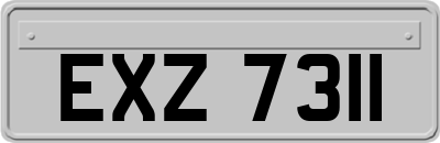 EXZ7311
