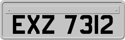 EXZ7312