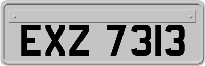 EXZ7313