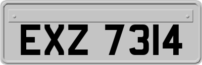 EXZ7314