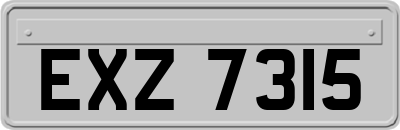 EXZ7315