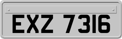 EXZ7316