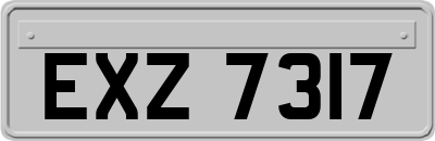 EXZ7317