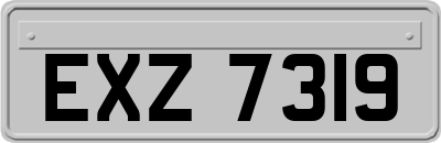 EXZ7319